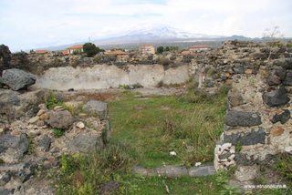 ammena-26-02-2023 14-14-42